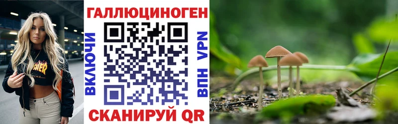 Псилоцибиновые грибы ЛСД  Купить  Завитинск 